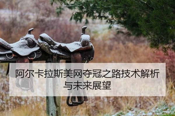 阿尔卡拉斯美网夺冠之路技术解析与未来展望
