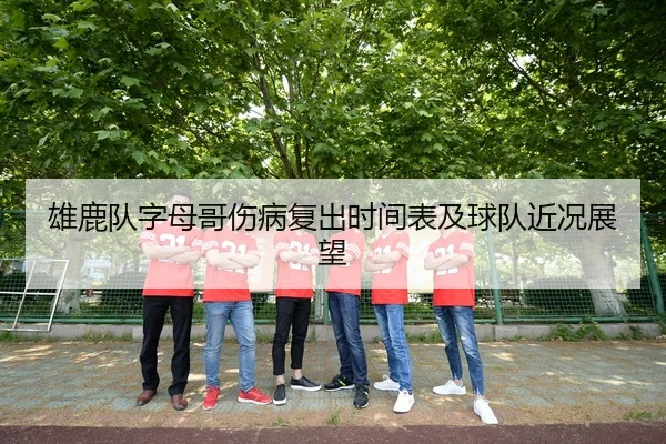 雄鹿队字母哥伤病复出时间表及球队近况展望